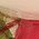 Color Swatch - Red