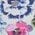 Color Swatch - Floral