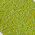 Color Swatch - Lime