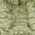 Color Swatch - Green
