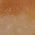 Color Swatch - Brown