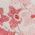 Color Swatch - Floral