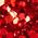 Color Swatch - Gold/Red