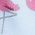 Color Swatch - Flamingos