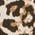 Color Swatch - Animal