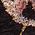 Color Swatch - Floral