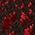 Color Swatch - Red