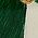 Color Swatch - Green
