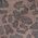 Color Swatch - Brown