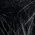 Color Swatch - Black