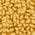Color Swatch - Gold
