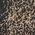 Color Swatch - Brown Distressed