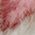 Color Swatch - White/Pink
