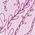 Color Swatch - Pink