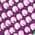 Color Swatch - Purple