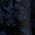 Color Swatch - Midnight