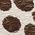 Color Swatch - Brown
