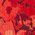 Color Swatch - Red Multi