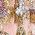 Color Swatch - Pink