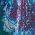 Color Swatch - Floral