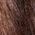 Color Swatch - Brown