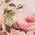 Color Swatch - Floral