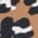 Color Swatch - Leopard