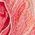 Color Swatch - Floral