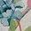Color Swatch - Garden Green