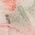 Color Swatch - Coral Multi