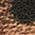 Color Swatch - Animal