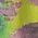 Color Swatch - Multi/Misc
