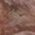 Color Swatch - Brown