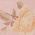 Color Swatch - Floral