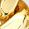 Color Swatch - Gold