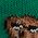 Color Swatch - Green