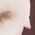 Color Swatch - Brown