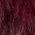 Color Swatch - Burgundy
