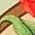 Color Swatch - Multi