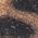Color Swatch - Animal