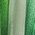 Color Swatch - Green
