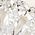 Color Swatch - Silver