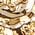 Color Swatch - Gold