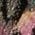 Color Swatch - Floral