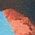 Color Swatch - Blue