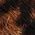 Color Swatch - Brown Multi