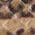 Color Swatch - Animal
