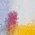Color Swatch - Multi/Misc