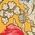 Color Swatch - Floral