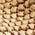 Color Swatch - Tan
